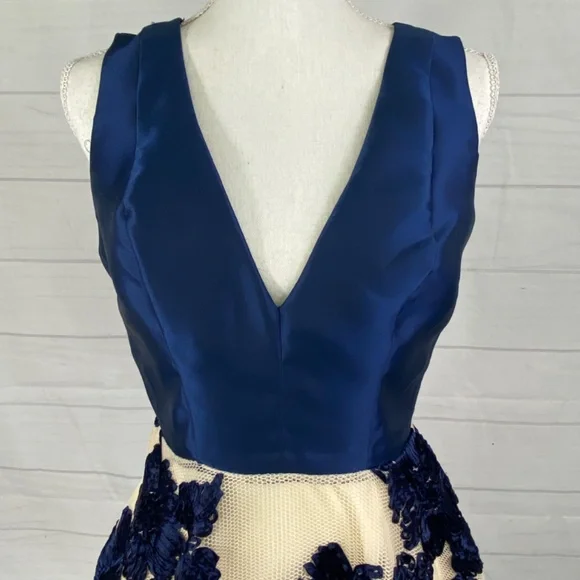 Maniju Blue Ivory Floral Fit and Flare Short Dress Sleeveless Formal Size Large - Picture 2 of 11